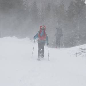 Výstup vedlejším údolím Seitenstall, v údolí Strechen krmí v zimě jeleny a nesmí se tam