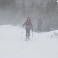 Popis: Výstup vedlejším údolím Seitenstall, v údolí Strechen krmí v zimě jeleny a nesmí se tam