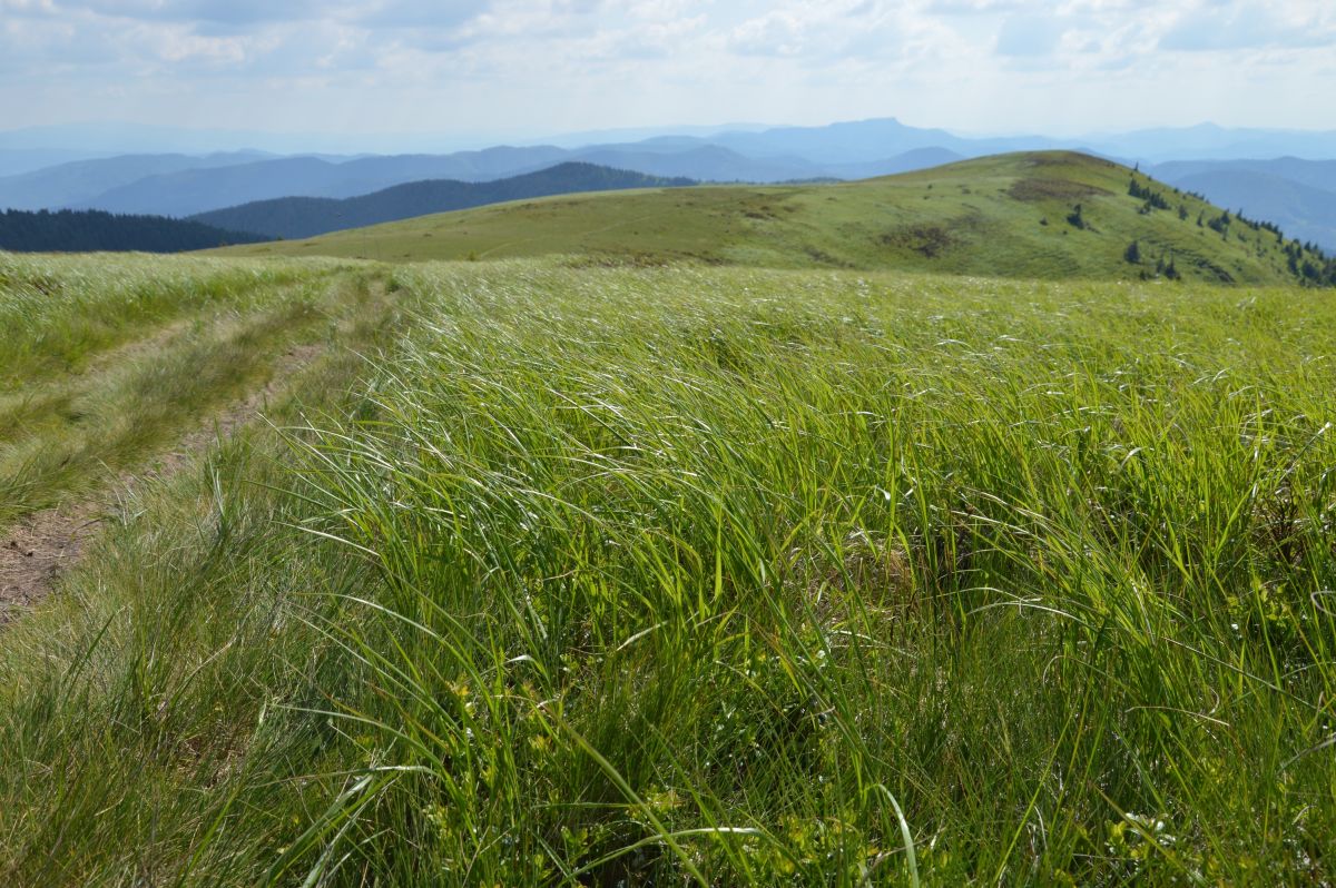 Nádherné Martinské hole