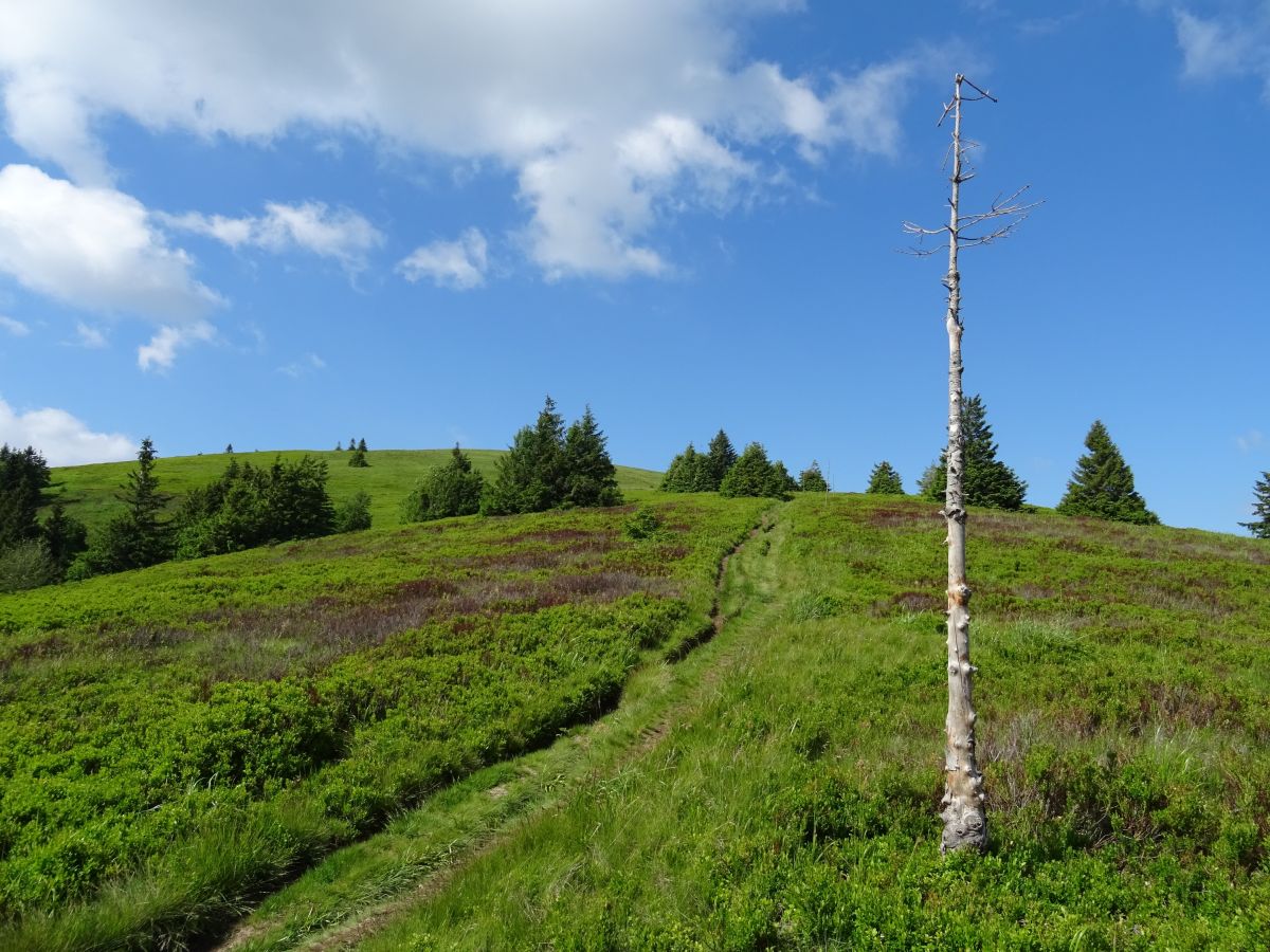 Nádherné Martinské hole