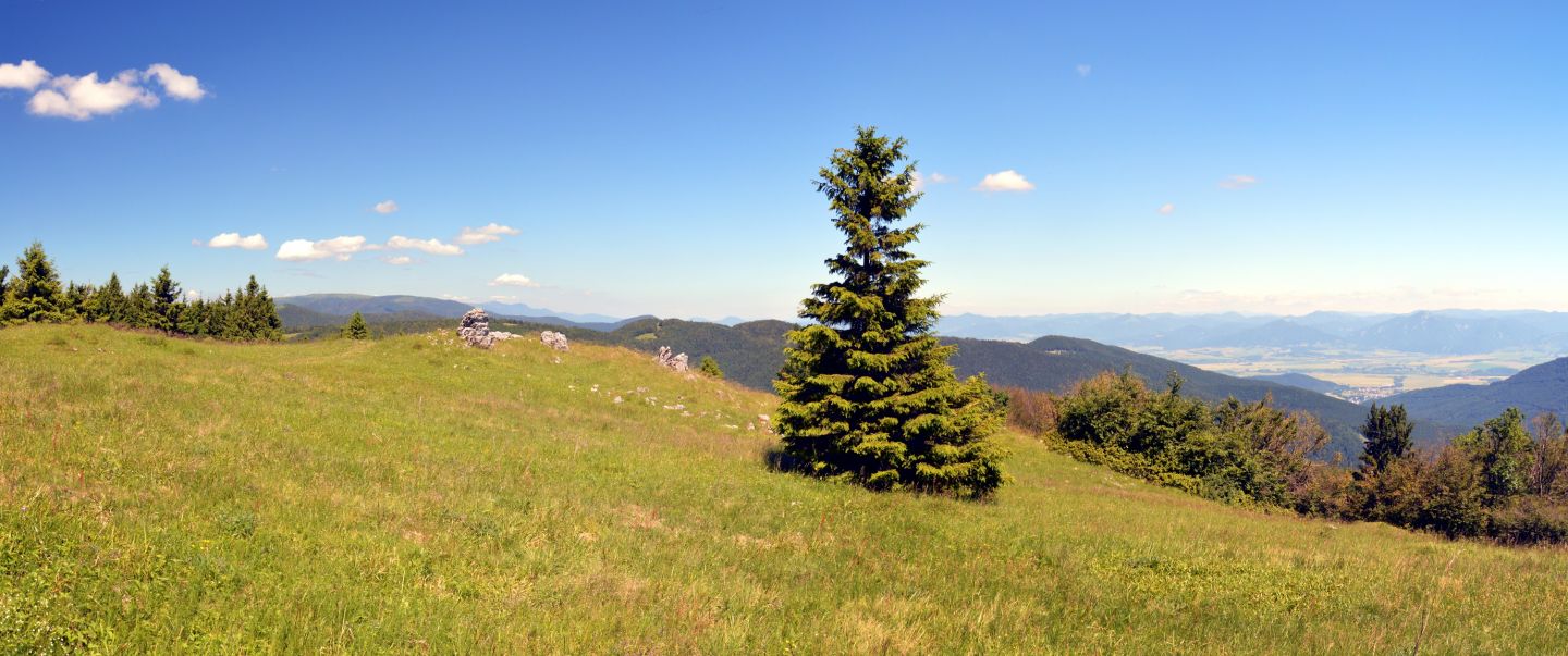 Skalky, vzadu Veľká Fatra