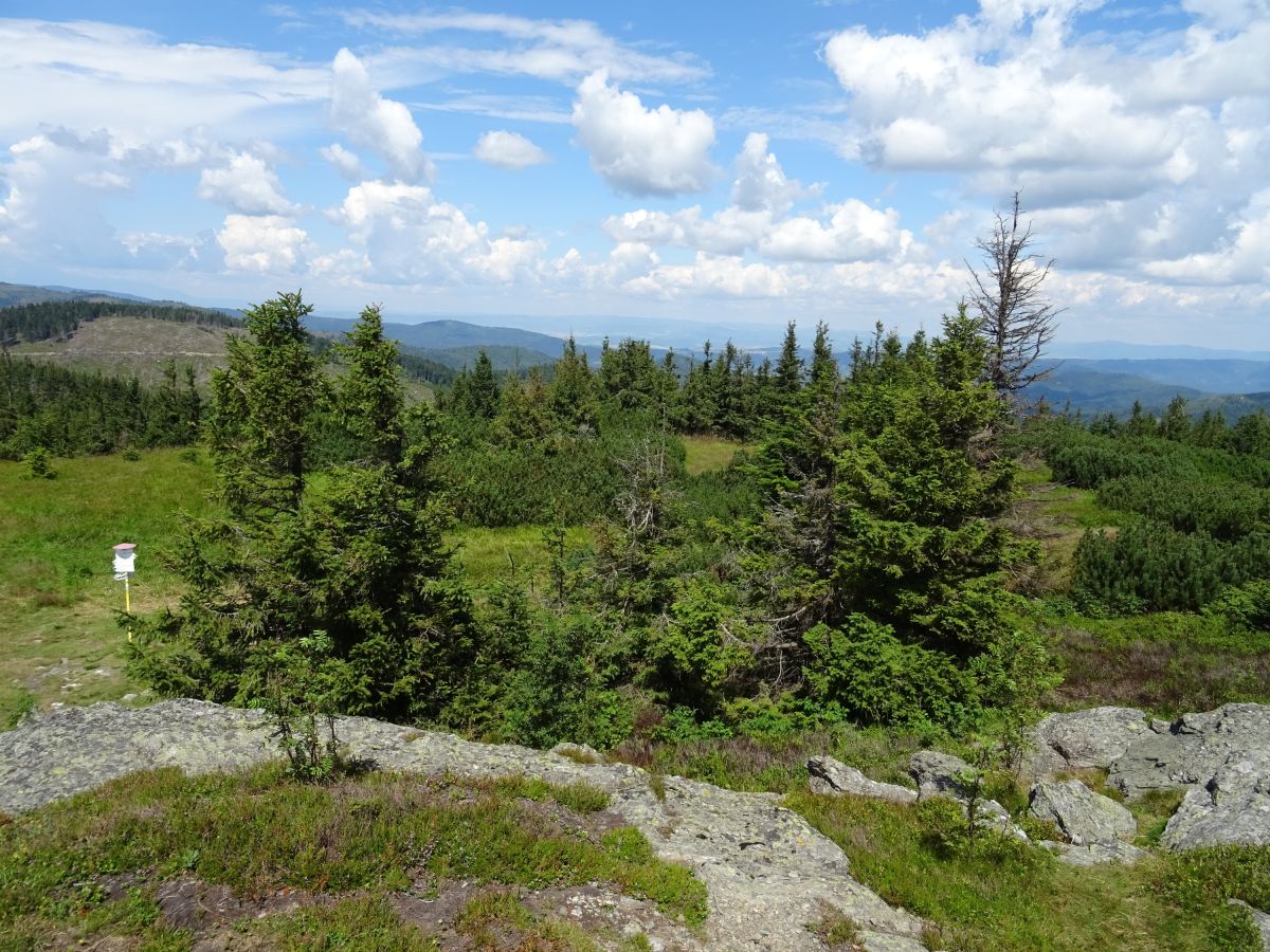 Na vrcholu Skaliska, 1293 m