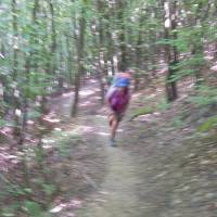 Popis: V lese nad Svidníkem