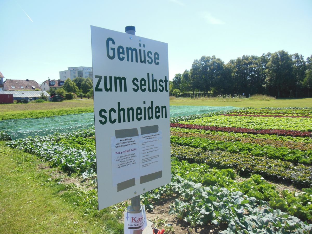 Kitzingen, samoobslužný prodej zeleniny
