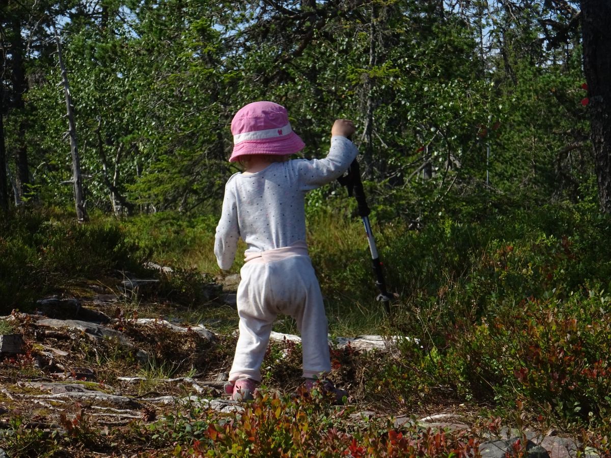 V masivu Sälenfjällen