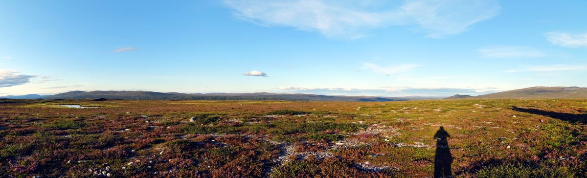 Rezervace a pohoří Långfjället