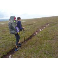 Popis: V národním parku Fulufjället