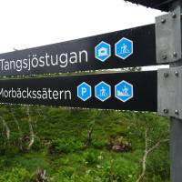 Popis: Po nočním dešti