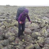 Popis: NP Fulufjället