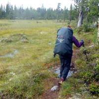 Popis: V rezervaci Drevfjällen
