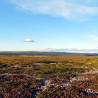 Popis: Rezervace a pohoří Långfjället