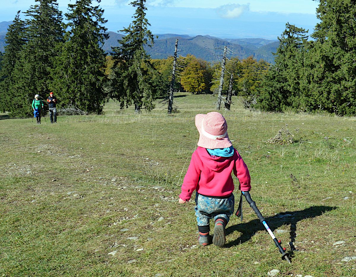 Sestup z hor (pod Muckenkogel)