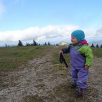 Popis: Na vrcholu Reisalpe (1399m), nejvyšší hoře pohoří