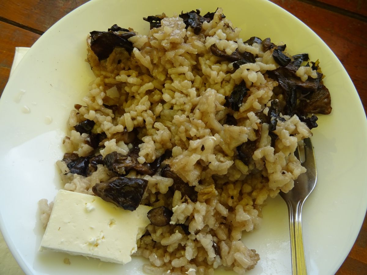 Výborné houby s rýži na chatě Partizanska pesen