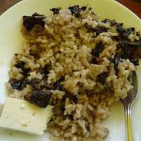 Popis: Výborné houby s rýži na chatě Partizanska pesen