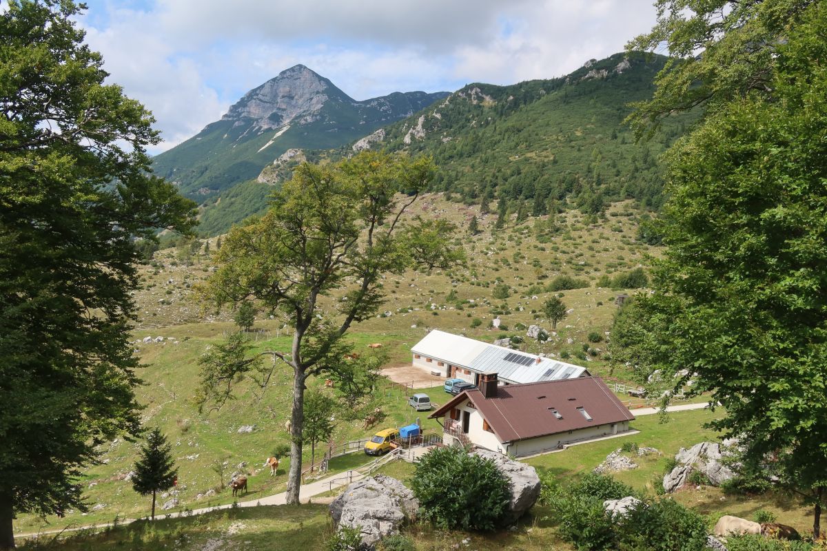 Planina Razor, mlékárna a sýrárna