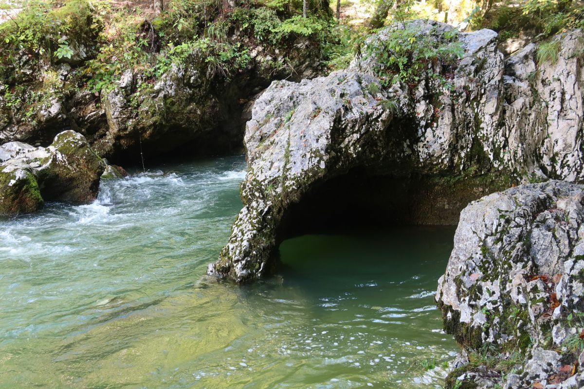 Kaňon Mostnice, známý útvar sloník zaplavený vodou