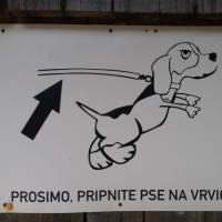 Popis: Vtipná slovinština