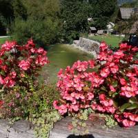 Popis: Stará Fužina, luxusně vyšmajchlovaná