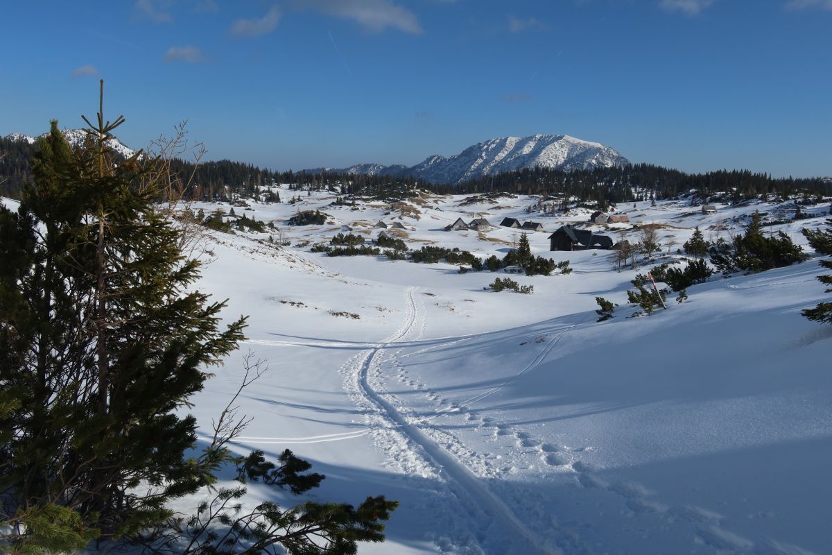 Planina a salaše Sonnschienalm