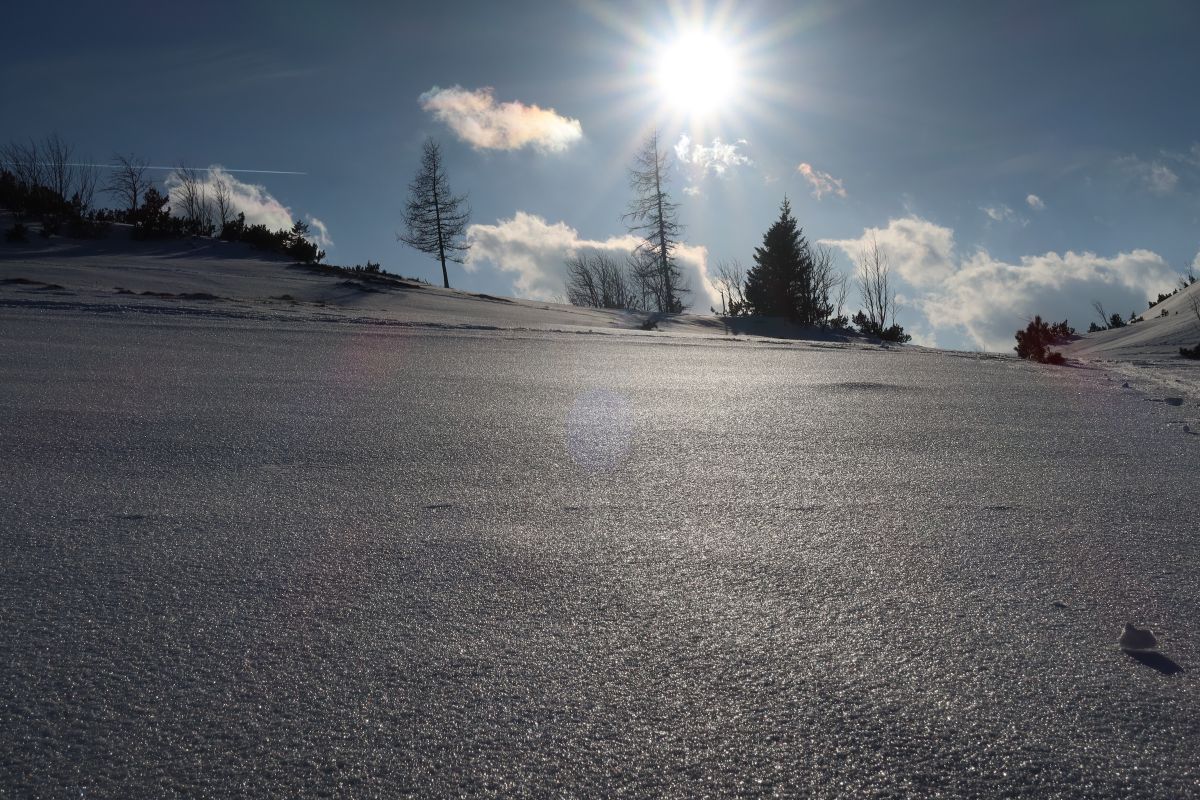 Planina Sonnschienalm