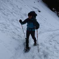 Popis: V údolí Tragösstal, výstup na Sonnschienalm