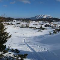 Popis: Planina a salaše Sonnschienalm