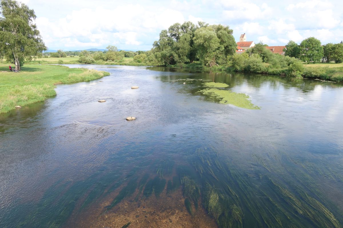 Nádherná neregulovaná řeka Regen (Řezná)