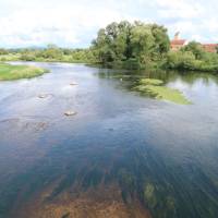 Popis: Nádherná neregulovaná řeka Regen (Řezná)
