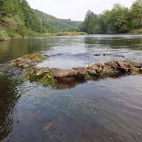 Popis: Řeka Ilz v Pasově