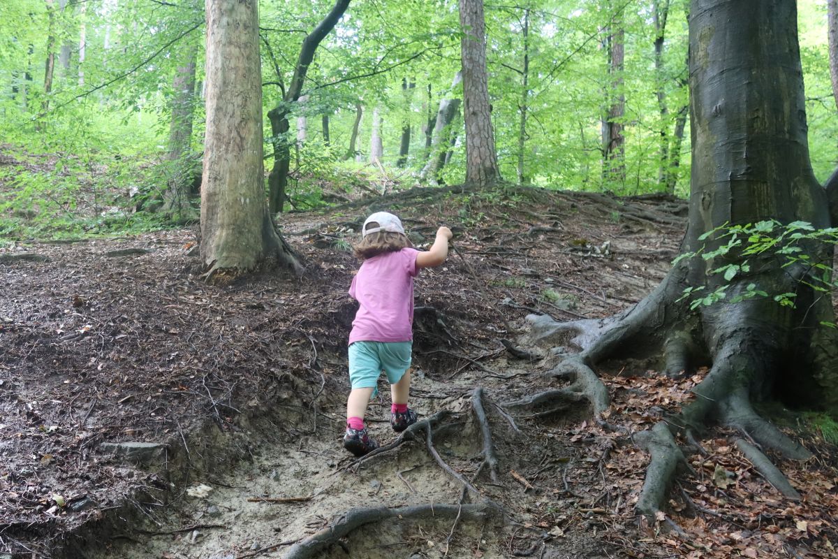 Výstup do pohoří Pohorje, která se zvedá od Drávy a od Mariboru