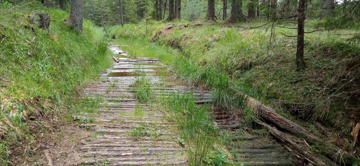 Slovinské Laponsko (povalové chodníky pro auta)