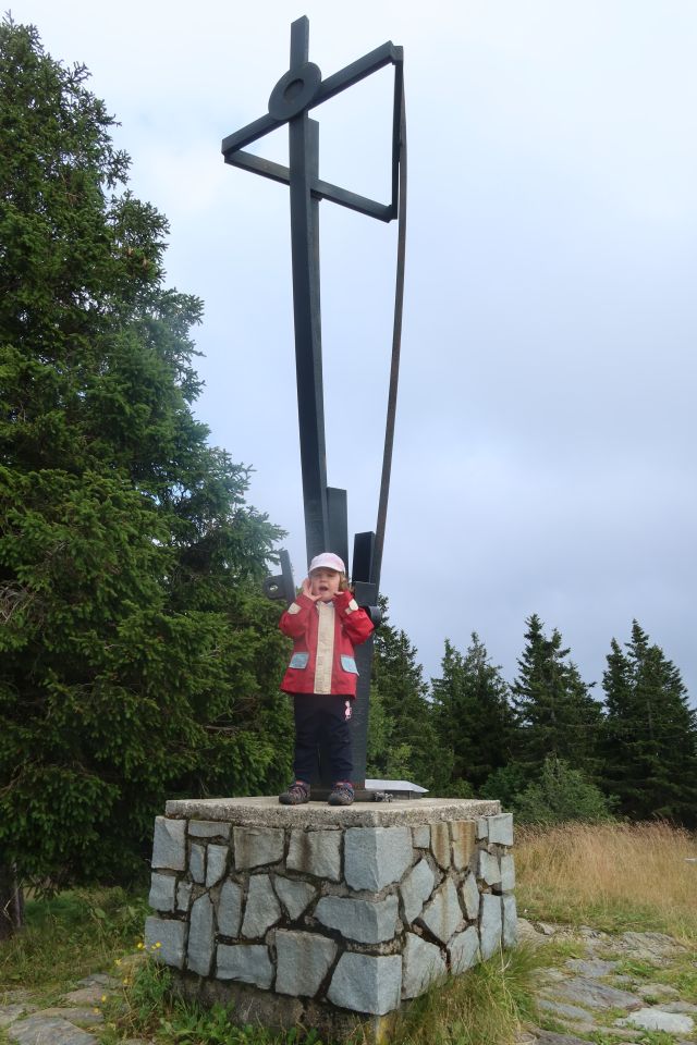 Črni vrh (1543 m), nejvyšší hora Pohorje