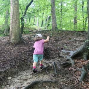 Výstup do pohoří Pohorje, která se zvedá od Drávy a od Mariboru