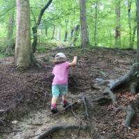 Popis: Výstup do pohoří Pohorje, která se zvedá od Drávy a od Mariboru