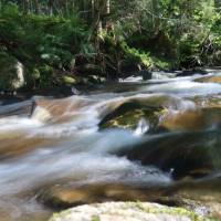 Popis: Krásné místo Šumik