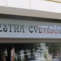 Popis: Vtipná slovinština