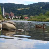 Popis: Krościenko nad Dunajcem