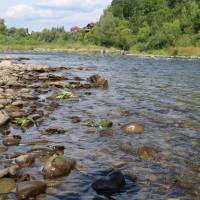 Popis: Dunajec