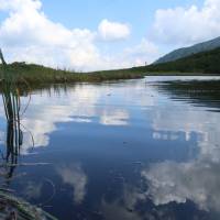 Popis: Trojrohé pleso: závan Laponska!