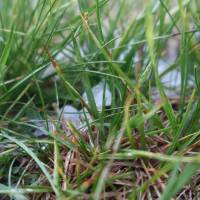 Popis: U rifugia Salmurano, kroupy za bouřky