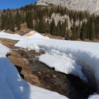 Popis: Na veliké pláni Wurzeralm