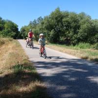 Popis: Řeka Traisen