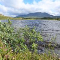 Popis: Mieskentjakke