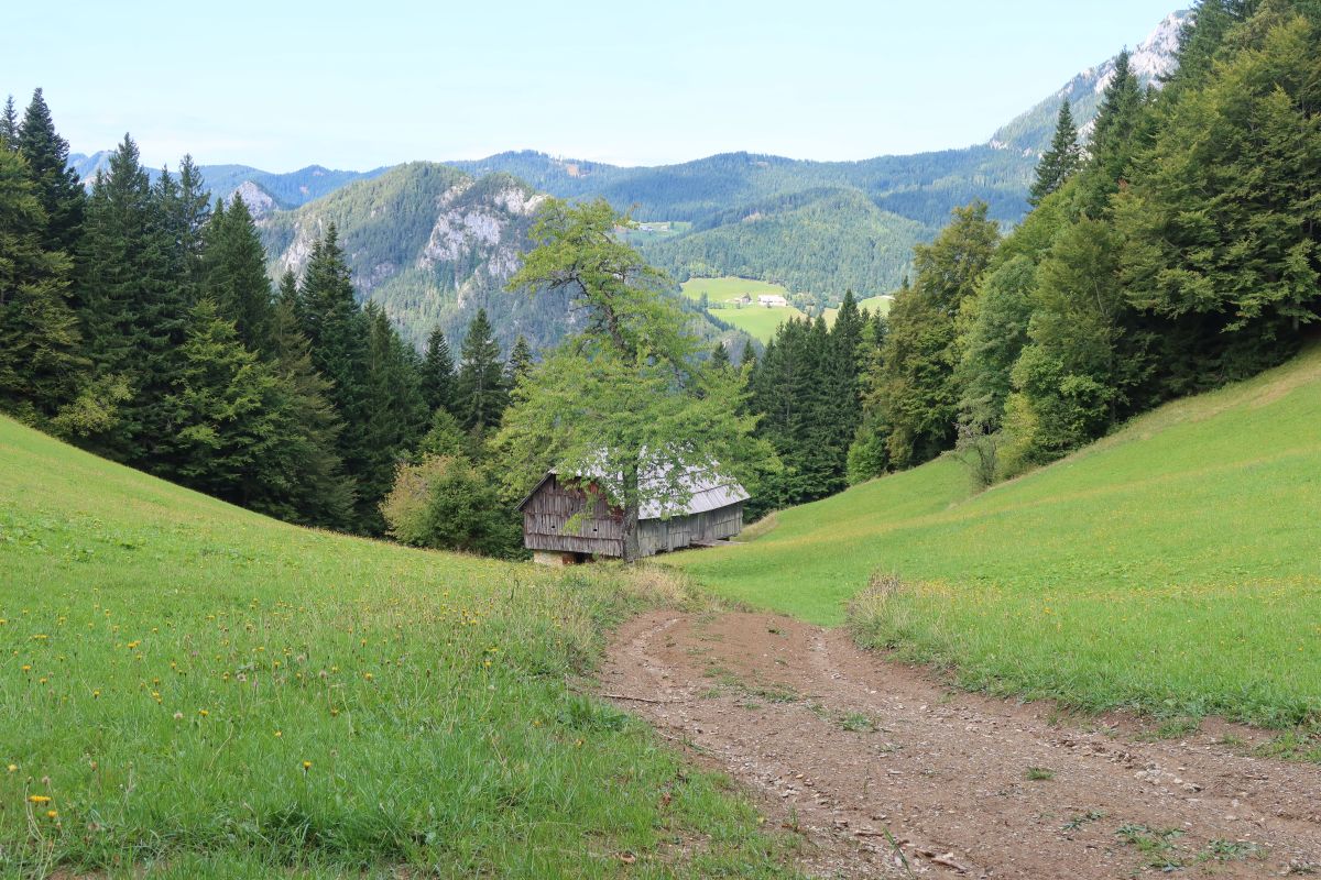 Planina Javorje