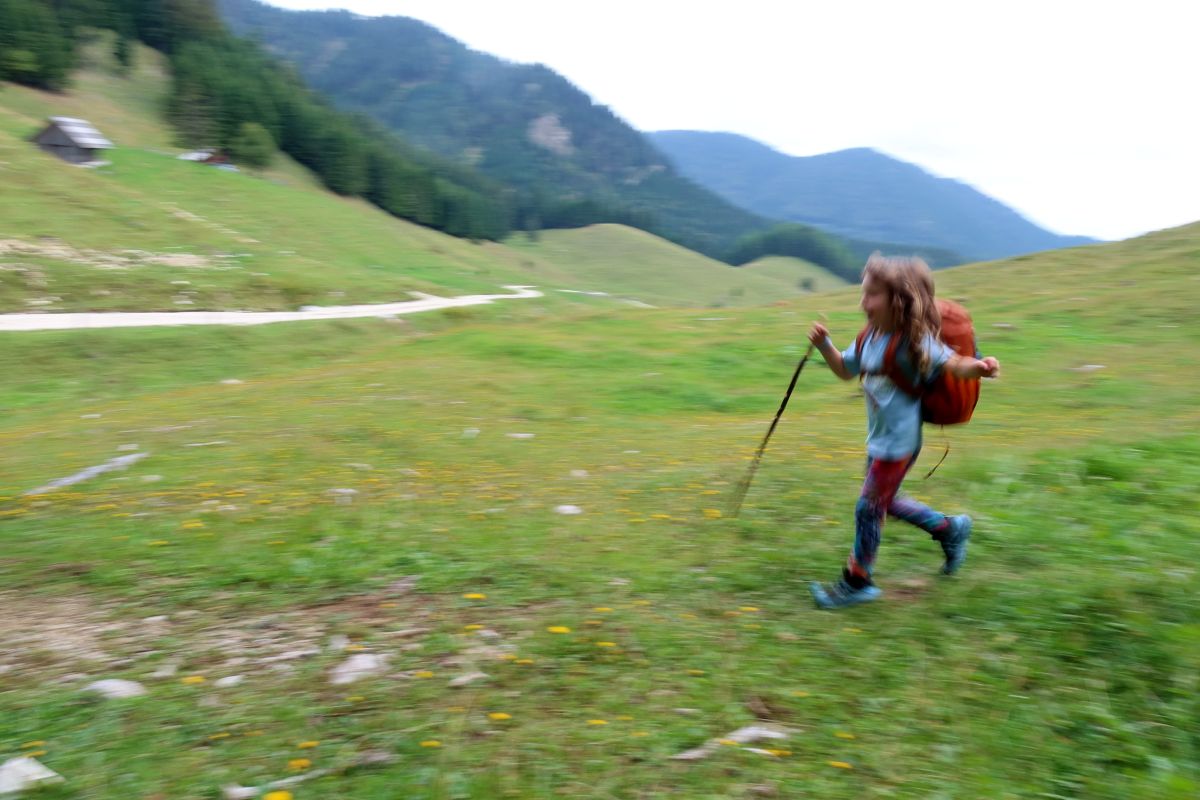 Planina Vodol