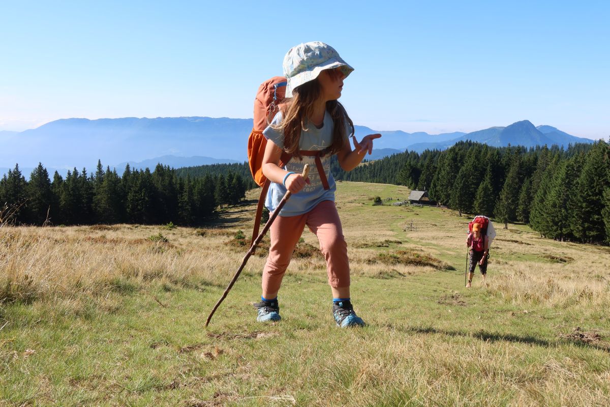 Koča na Travniku