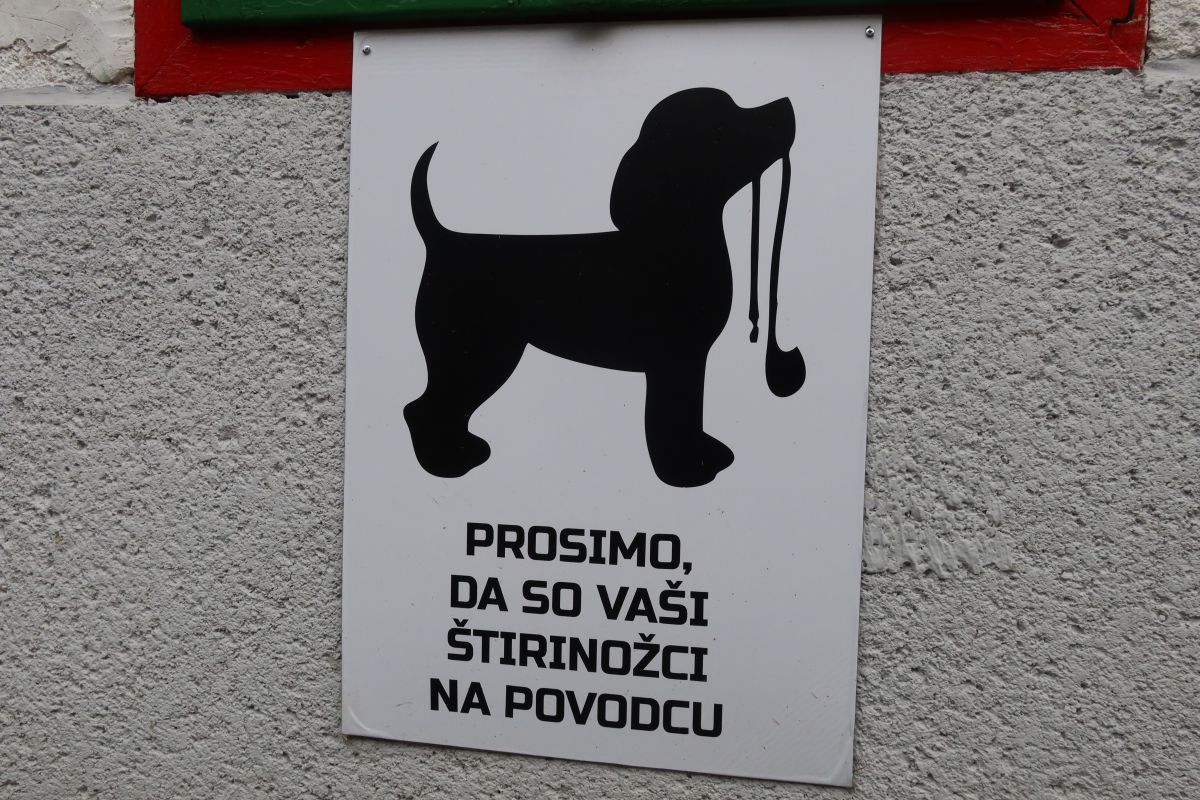 Koča na Naravskih ledinah