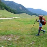 Popis: Planina Vodol