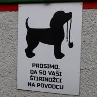 Popis: Koča na Naravskih ledinah